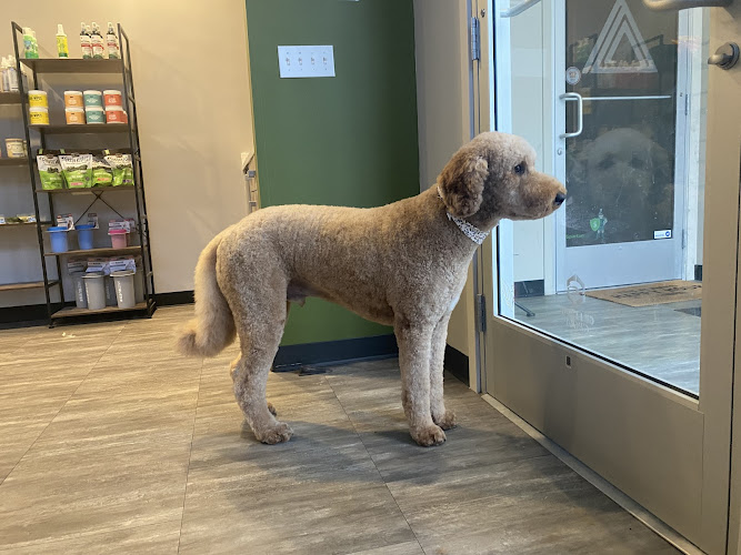 PawSnickety Pet Salon - East Lansing