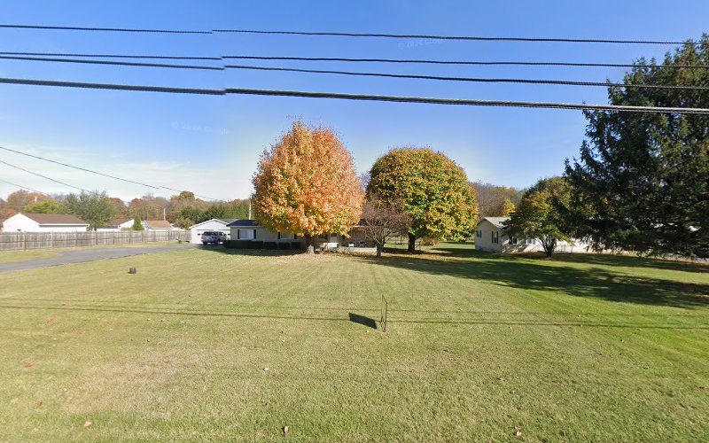 Pawsome Dog Grooming