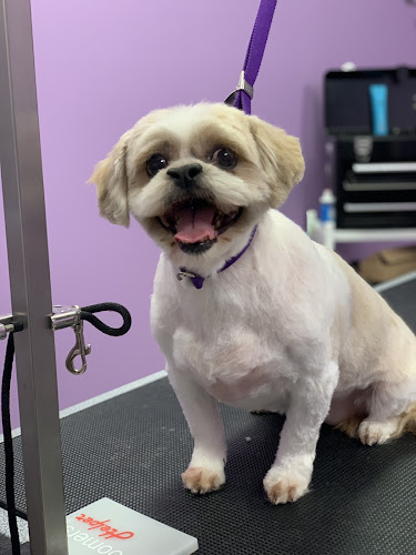 Pawsome Pet Supplies & Grooming