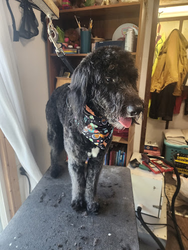 Pawz Up-Dawg Grooming