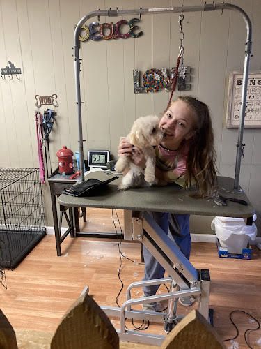 Peace Love And Tails