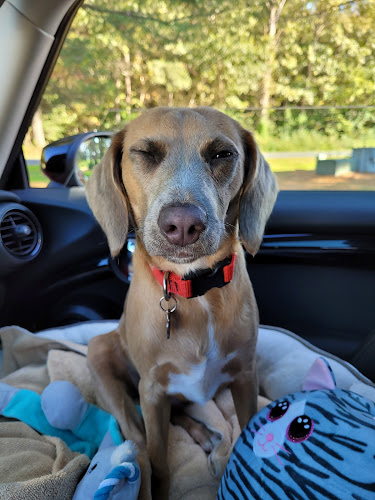 Peace of Mind Pet Boarding