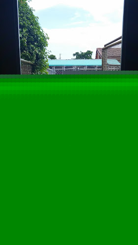 Peace of Mind Pet Resort