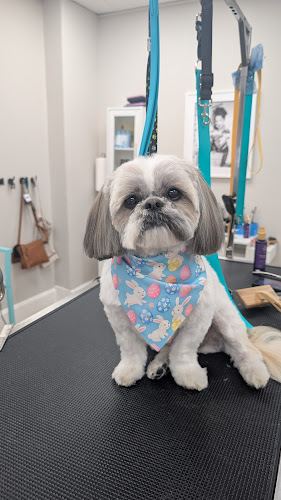Peaceful Paws Dog Grooming