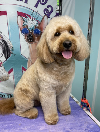 Peaceful Paws Pet Grooming