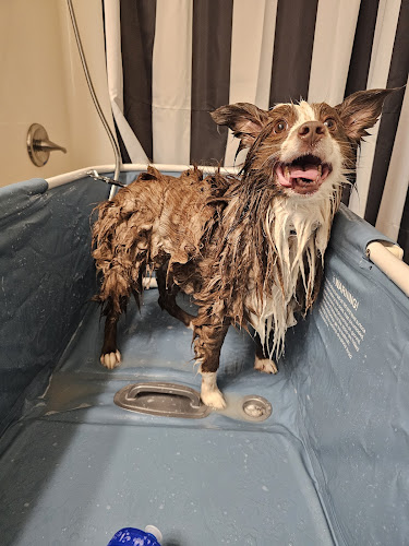 Peachy Pups Grooming, LLC