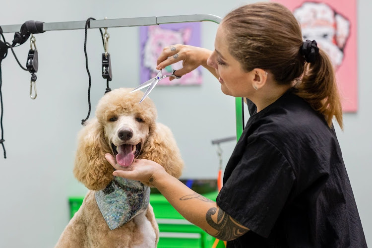 Pelican Pet Hospital