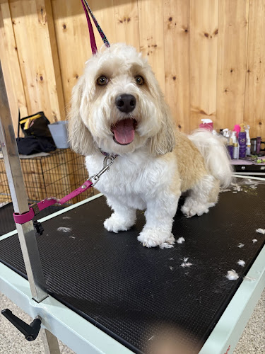 Perfect Paws Pet Grooming