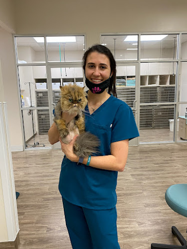 Perky Paws Pet Hospital