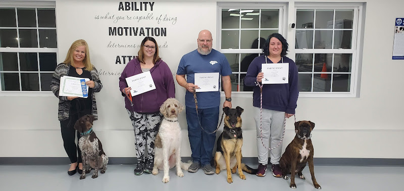 Pet-Agree Professional Pet Services