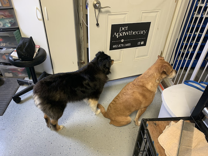 Pet Apawthecary/ Bargen Media