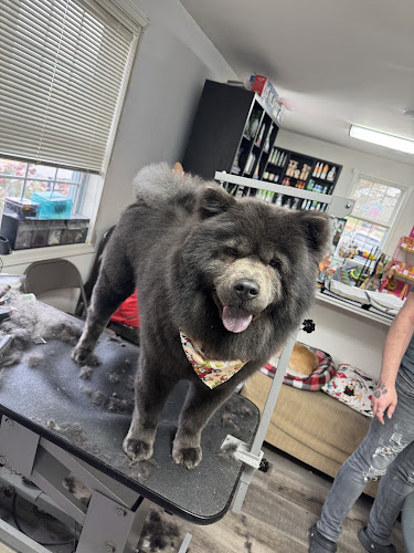 Pet Authority Grooming Center