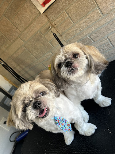 Pet Center Mobile grooming