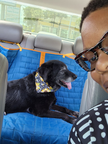 Pet Doctors of America