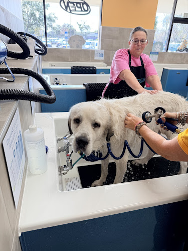 Pet Evolution Grooming | Self-Wash | Healthy Food |