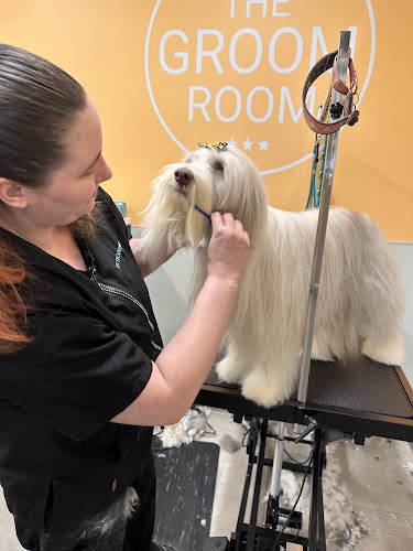 Pet Evolution - Mill Creek, WA - Grooming | Self-Wash | Healthy Food | Mobile Nail Trim