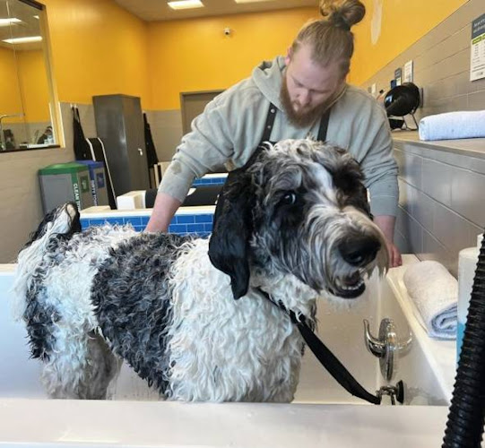 Pet Evolution - St. Paul, MN - Grooming | Self-Wash | Healthy Food | Mobile Nail Trim