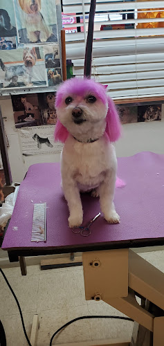 Pet Grooming / Animal Boarding Inc.