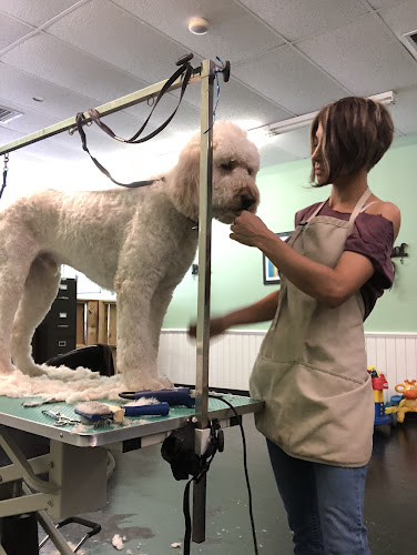 Pet Grooming By Natalia