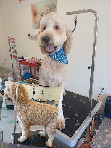 Pet Heroes Dog Grooming