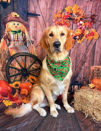 Pet Love Grooming Services Inc.