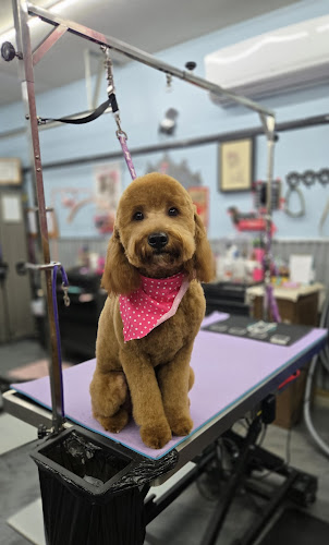 Pet Palace Pet Grooming