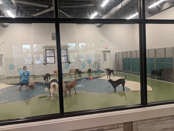 Pet Paradise Bonita Springs