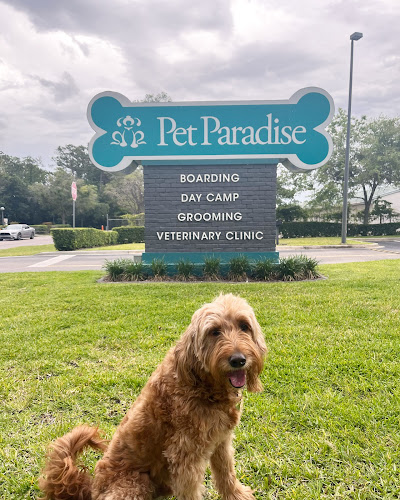 Pet Paradise Jacksonville University