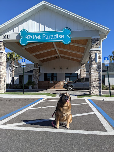 Pet Paradise Oakleaf