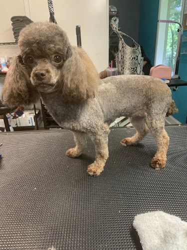 Pet Parlor Pet Grooming ,LLC