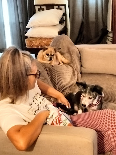 Pet Partners Full Pet Supplies