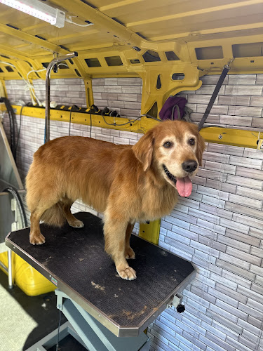 Pet Show Grooming Mobile