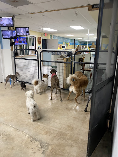 Pet Stop Grooming And Boarding, LLC