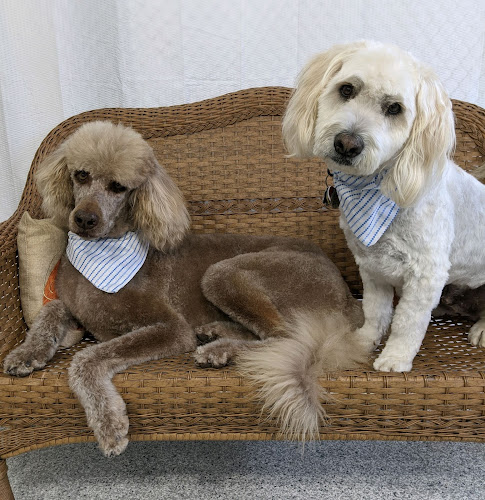 Pet Styles by LeeAnn