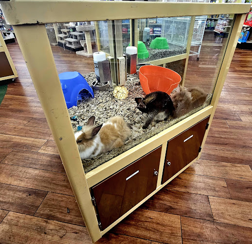 Pet Supermarket