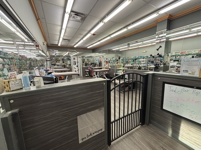 Pet Supplies Plus Akron - Manchester Grooming