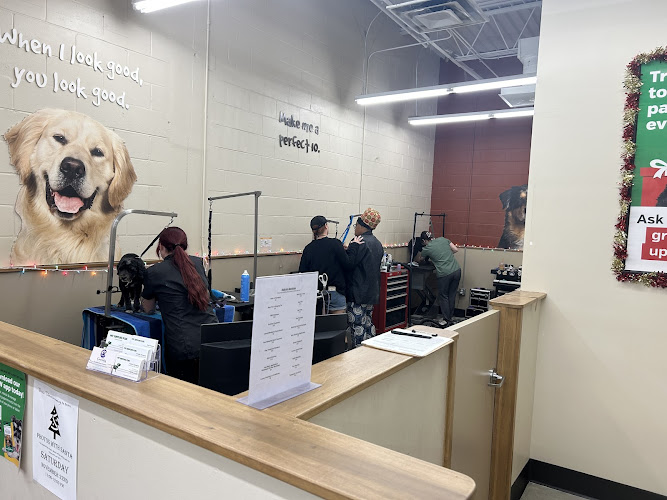 Pet Supplies Plus Atlantic Beach Grooming