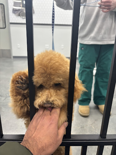 Pet Supplies Plus Bensalem Grooming