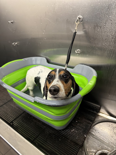 Pet Supplies Plus Bethel Park Grooming