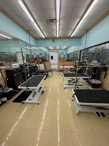 Pet Supplies Plus Blasdell Grooming