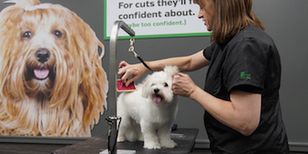 Pet Supplies Plus Fort Myers