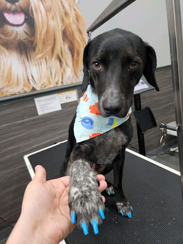 Pet Supplies Plus Garden City Grooming