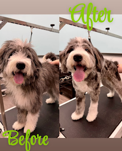 Pet Supplies Plus Harborcreek Grooming