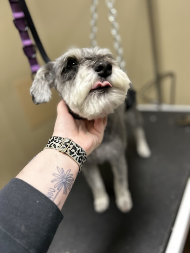 Pet Supplies Plus Hartville Grooming