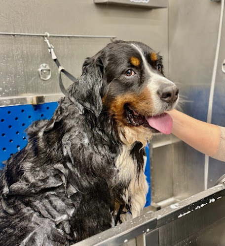 Pet Supplies Plus Minot Grooming