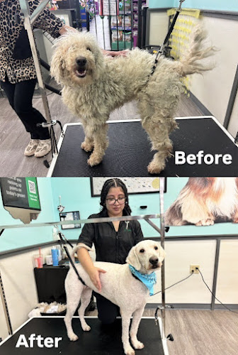 Pet Supplies Plus New Hartford Grooming