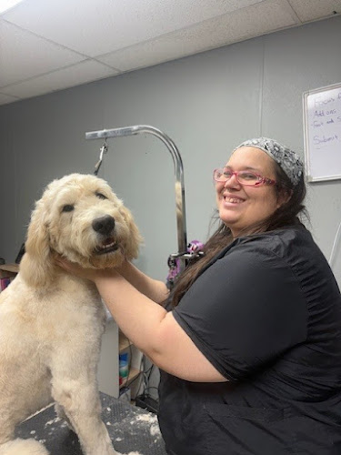 Pet Supplies Plus Springfield (W. Kearney) Grooming