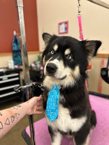 Pet Supplies Plus Troy Grooming