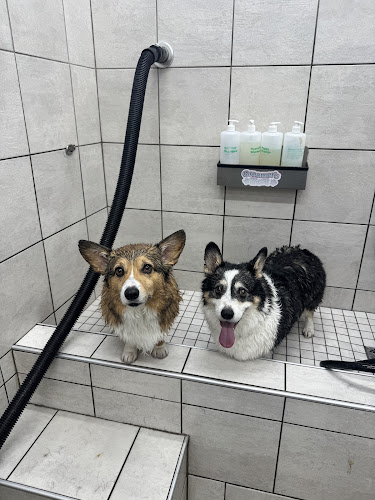 Pet Supplies Plus Wheat Ridge Grooming