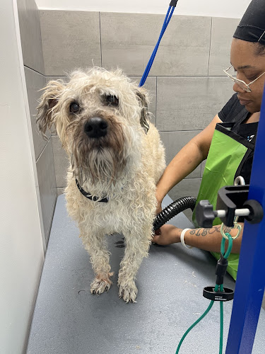 petbar Boutique Arcadia